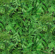 Landscape Medley-Cedar Branches 607 Green