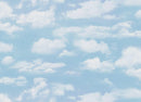 Landscape Medley-Sky Misty Blue 505-MISTYBLUE