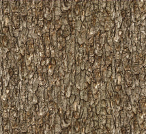 Landscape Medley-Walnut Bark 709 Walnut