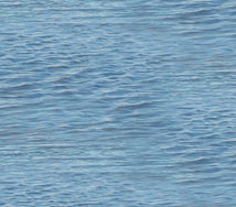 Landscape Medley-Water Soft Blue 528-SOFTBLUE