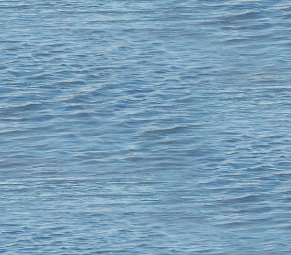 Landscape Medley-Water Soft Blue 528-SOFTBLUE