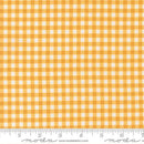 Lucky-Gingham Sun 55707-14