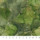 Midas-Olive DM27630-74