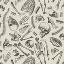 Mister Bone-Cream DCX12277-CREM-D