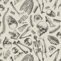 Mister Bone-Cream DCX12277-CREM-D