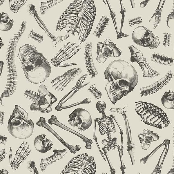 Mister Bone-Cream DCX12277-CREM-D