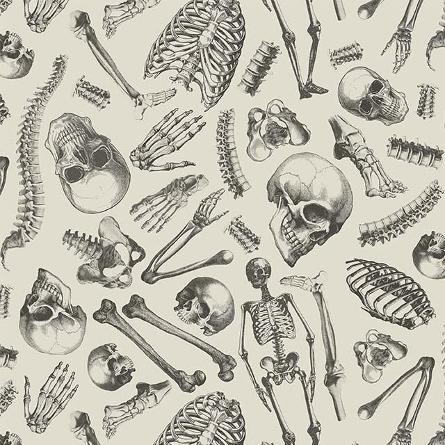 Mister Bone-Cream DCX12277-CREM-D