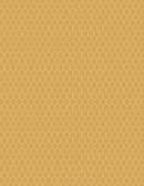 Morning Serenade 3023-39870-555