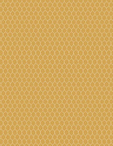 Morning Serenade 3023-39870-555