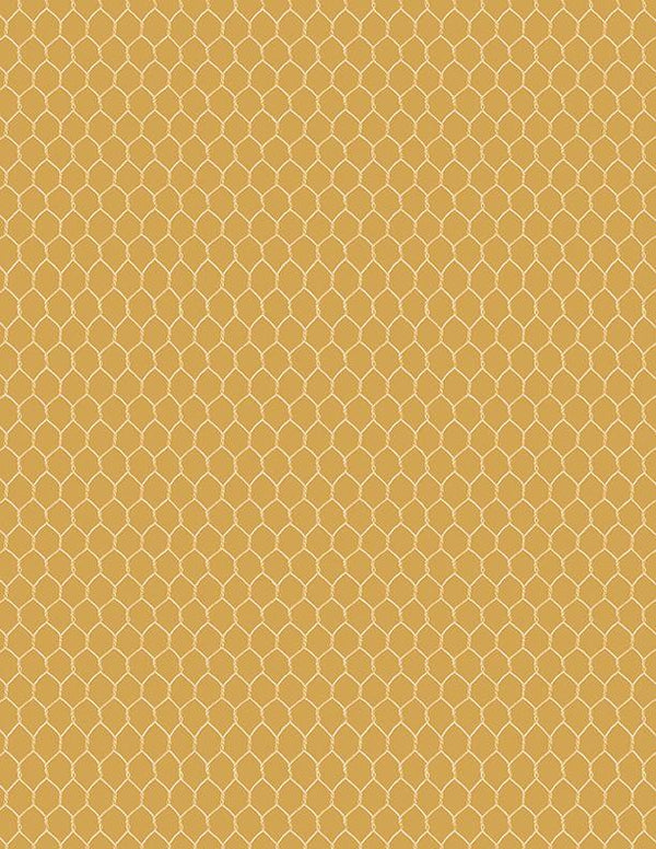 Morning Serenade 3023-39870-555