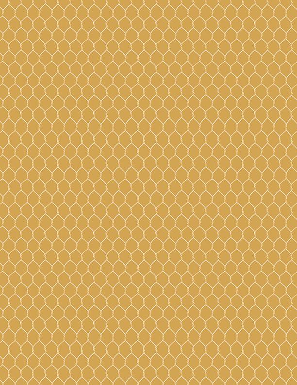 Morning Serenade 3023-39870-555