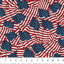 Stars & Stripes 13-Waving Flags Navy/Multi 27882-49