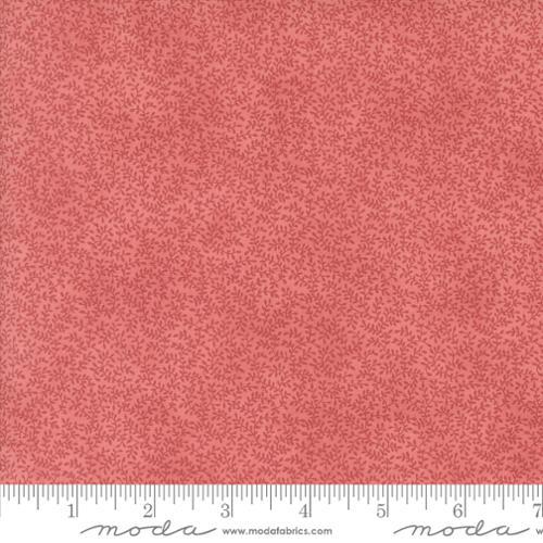 Muse - Scarlet 44398-13