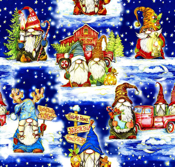 Noel-Gnome Home Blue OA598101