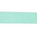 1in Poly/Nylon Herringbone Webbing Spring Green 25MM-39