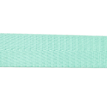 1in Poly/Nylon Herringbone Webbing Spring Green 25MM-39