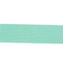 1in Poly/Nylon Webbing Mint 25MM-P-32