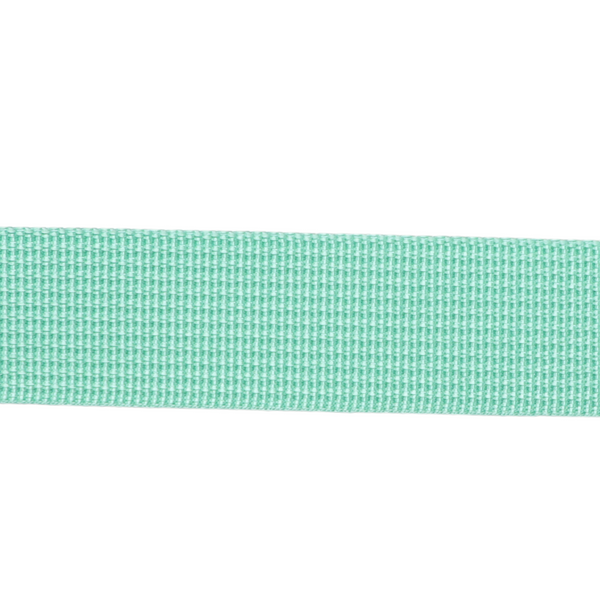 1in Poly/Nylon Webbing Mint 25MM-P-32