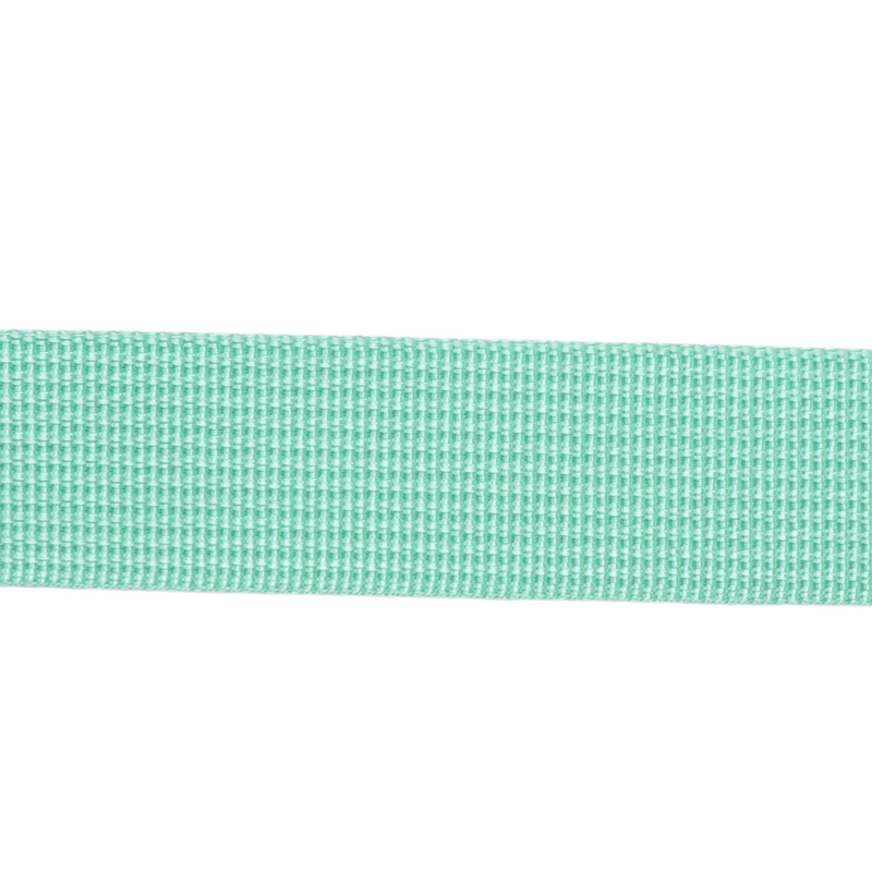 1in Poly/Nylon Webbing Mint 25MM-P-32