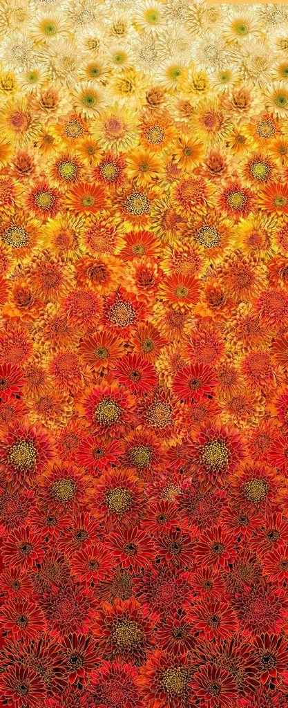 Ombre Metallic Mums HARVEST-CM2102-AUTUMN