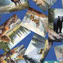 On The Road Again-Animal Postcards Sky 2600-30739-B