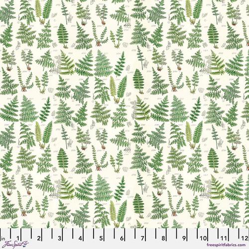 Palette Green-Ferns Green PWTH265.GREEN