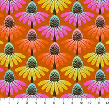 Perennial Borders-Echinacea Rythm Fire AMT136-79V