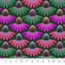 Perennial Borders-Echinacea Rythm Forest AMT136-78L