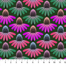 Perennial Borders-Echinacea Rythm Forest AMT136-78L