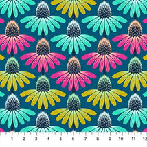 Perennial Borders-Echinacea Rythm Parade AMT136-86C