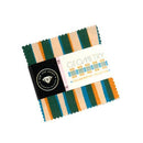 Precut Mini Charm Pack-Geometry RS5170MC