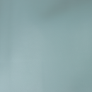 Precut Vinyl - Standin - Juniper 18"x54"