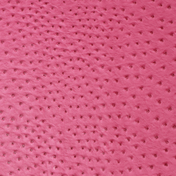 Precut Vinyl - Serengeti Ostrich - Fuschia - 18"x27"