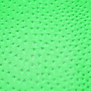 Precut Vinyl - Serengeti Ostrich - Neon Green - 18"x54"