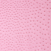 Precut Vinyl - Serengeti Ostrich - Pink - 18"x27"