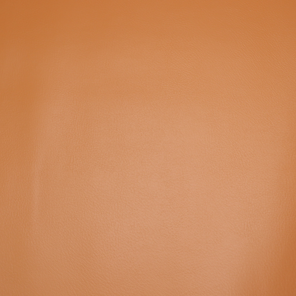 Precut Vinyl - Standin- All Spice - 18"x27"