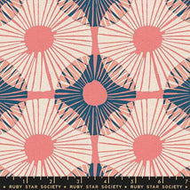 Reimagined Landscapes - Superbloom Canvas - Watermelon RS6056-15L