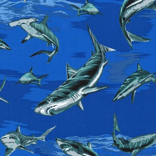 Shark Week-Royal BBDK1153-18