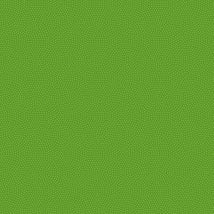 Spin Basic Spin-CD5300-Parakeet