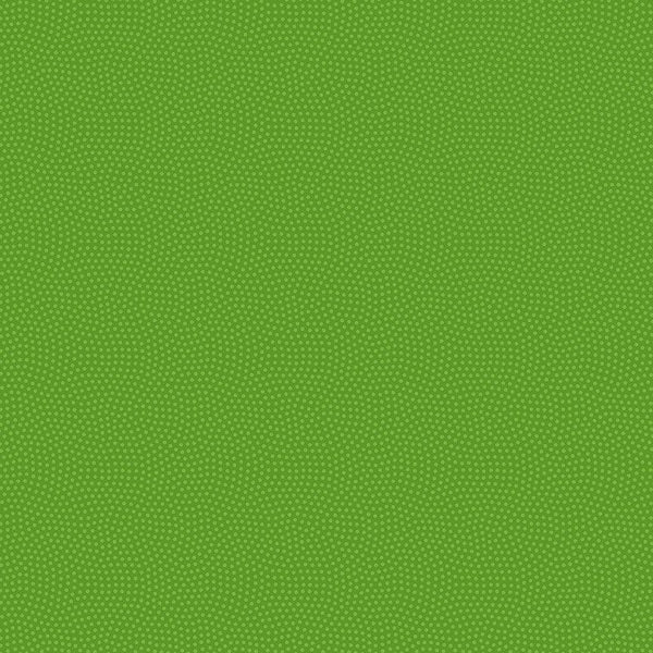 Spin Basic Spin-CD5300-Parakeet