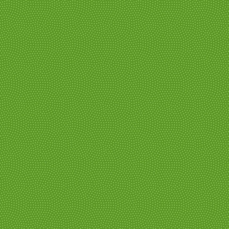 Spin Basic Spin-CD5300-Parakeet