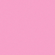 Spin Basic Spin-CD5300-Raspberry