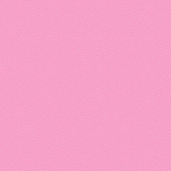 Spin Basic Spin-CD5300-Raspberry