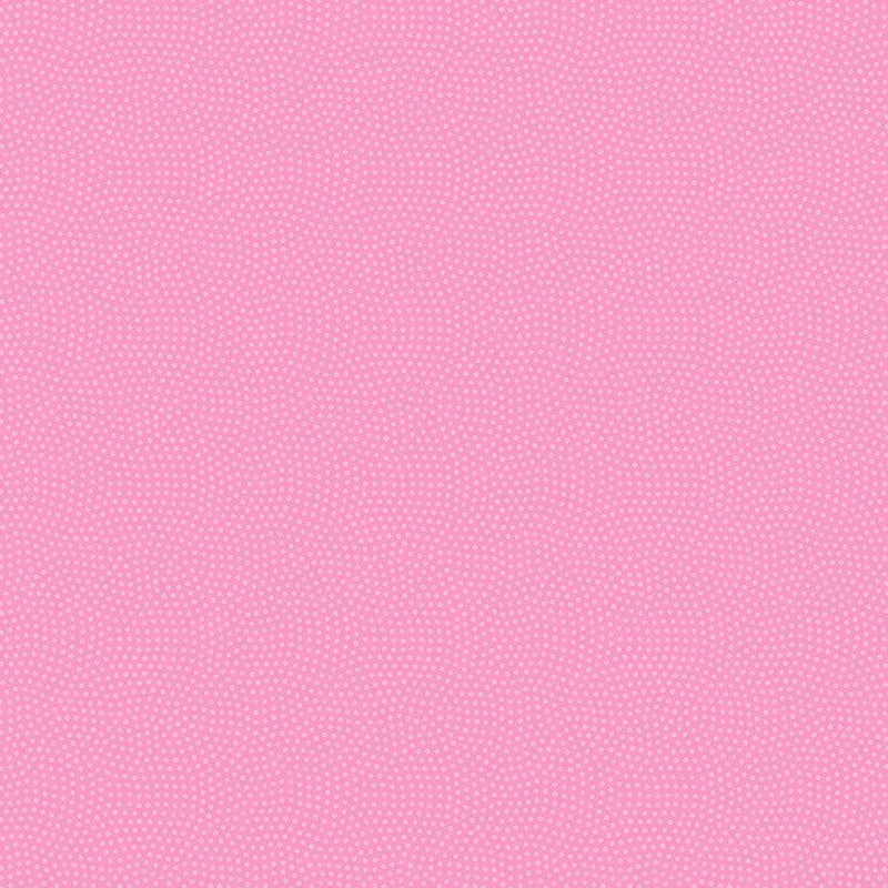 Spin Basic Spin-CD5300-Raspberry