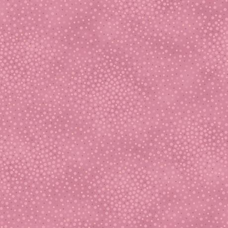 Spotsy 2600-29912-DZ