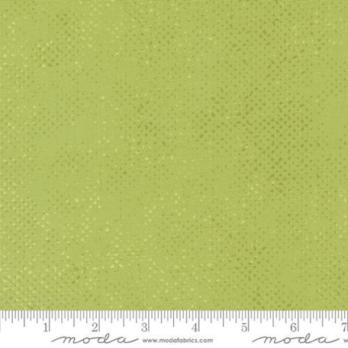 Spotted-Pistachio 1660-63