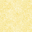 Stucco-Cornsilk W110-001-200
