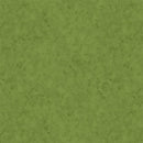 Stucco-Green W110-001-665