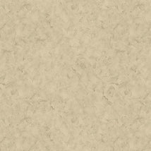 Stucco-Tan W110-001-051