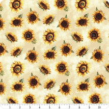 Sunkissed 1665-33917-125